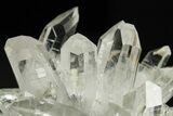 Colombian Quartz Crystal Cluster - Colombia #299629-3